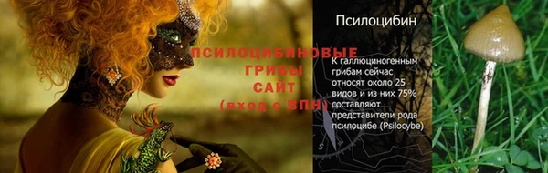 индика Алексеевка