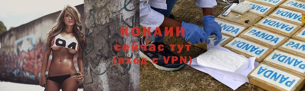 индика Алексеевка