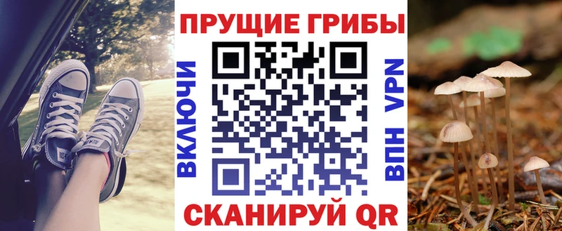 Псилоцибиновые грибы Magic Shrooms  Глазов 